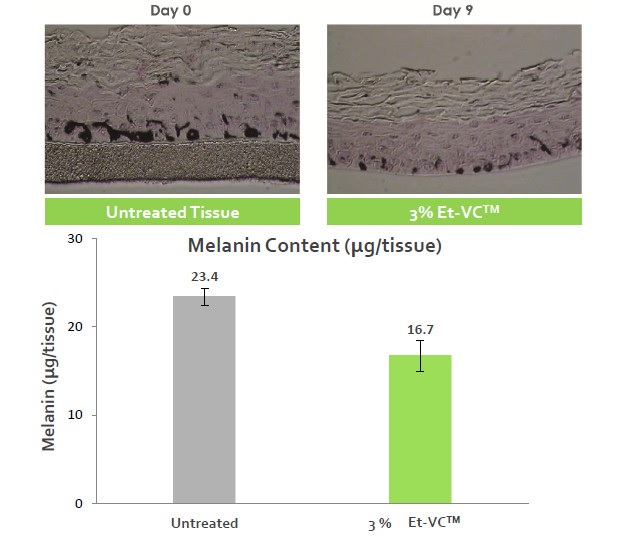 Thử nghiệm khả năng ức chế Melanin của 3O-EAA 3% sau 9 ngày