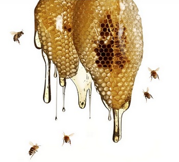 Tác dụng mật ong